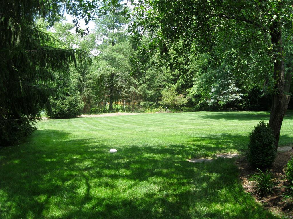 803 Warson Road St. Louis, MO 63124 - Photo 40 of 51