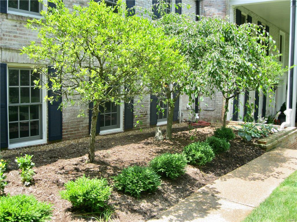 803 Warson Road St. Louis, MO 63124 - Photo 50 of 51