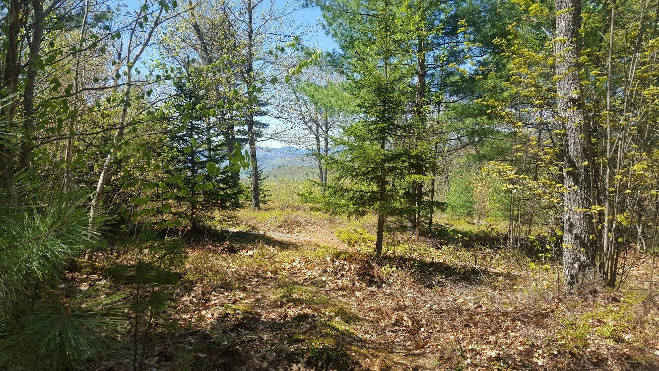 87 Stevens Road Stoneham, ME 04231 - Photo 11 of 19 januumsfirstpeak