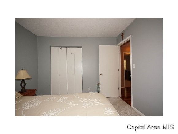 28 Celeste Court Springfield, IL 62703 - Photo 20 of 24