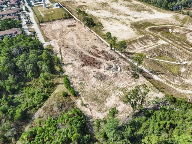 a view of a yard with plants and large trees