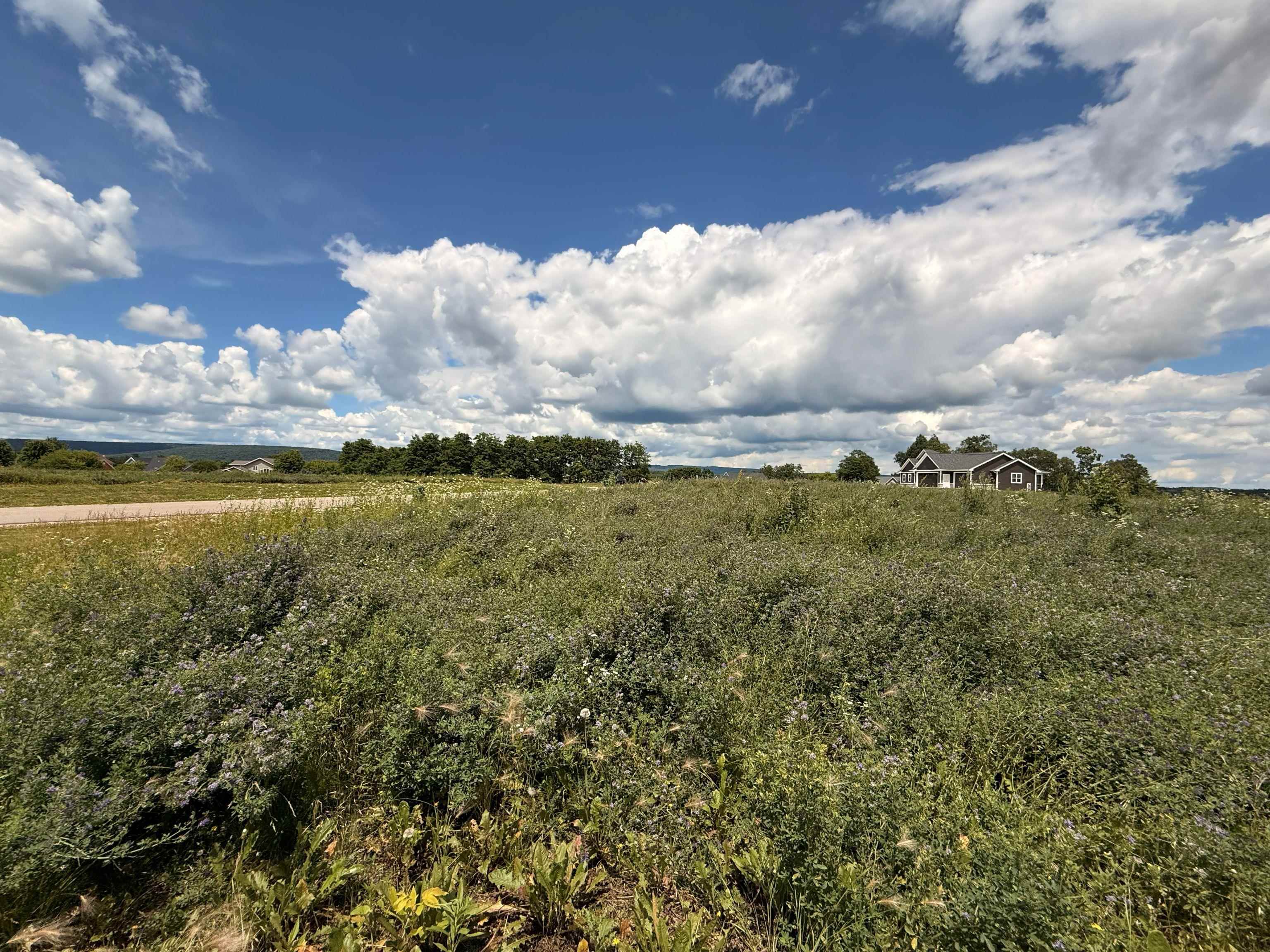Lot 19 Lakestone Merrimac, WI 53561 - Photo 2 of 42