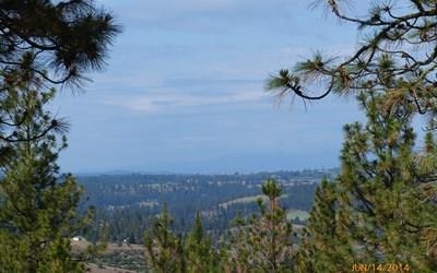14121 Rosa Butte Lane Spokane, WA 99224 - Photo 2 of 7 Gallery Image 2