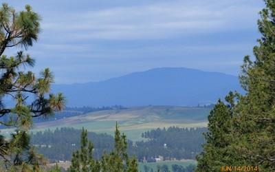 14121 Rosa Butte Lane Spokane, WA 99224 - Photo 4 of 7 Gallery Image 4