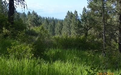 14121 Rosa Butte Lane Spokane, WA 99224 - Photo 5 of 7 Gallery Image 5