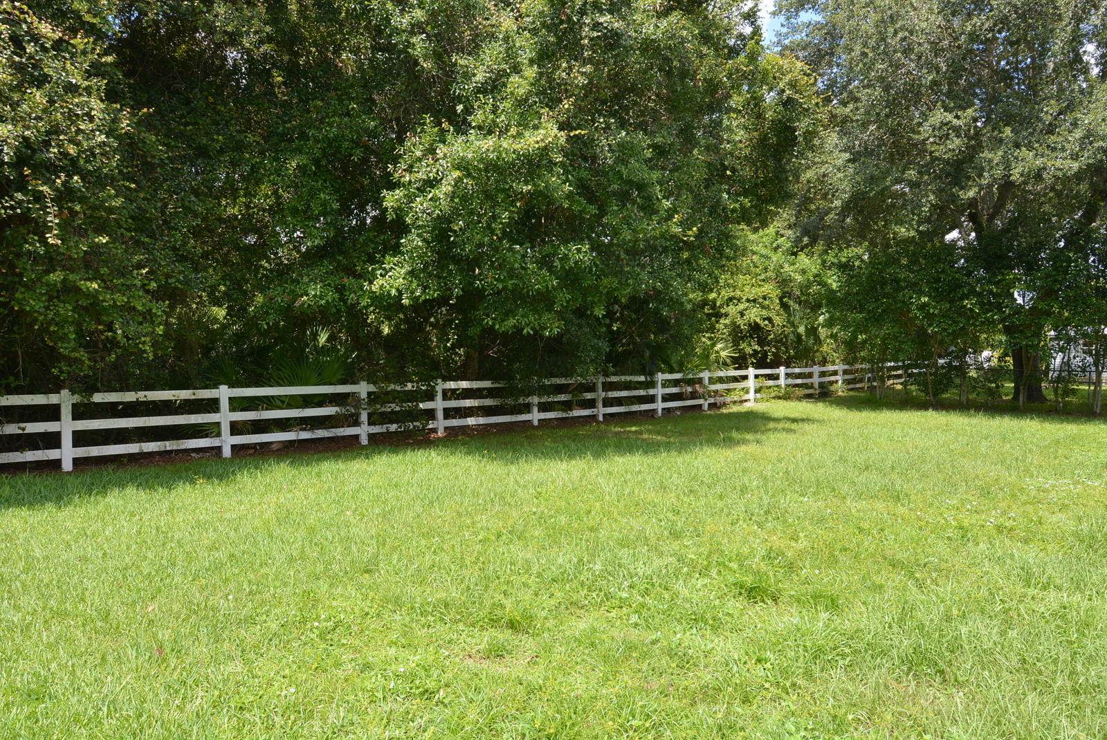 1866 Southwest Leafy Road Port St. Lucie, FL 34953 - Photo 53 of 54 Yard