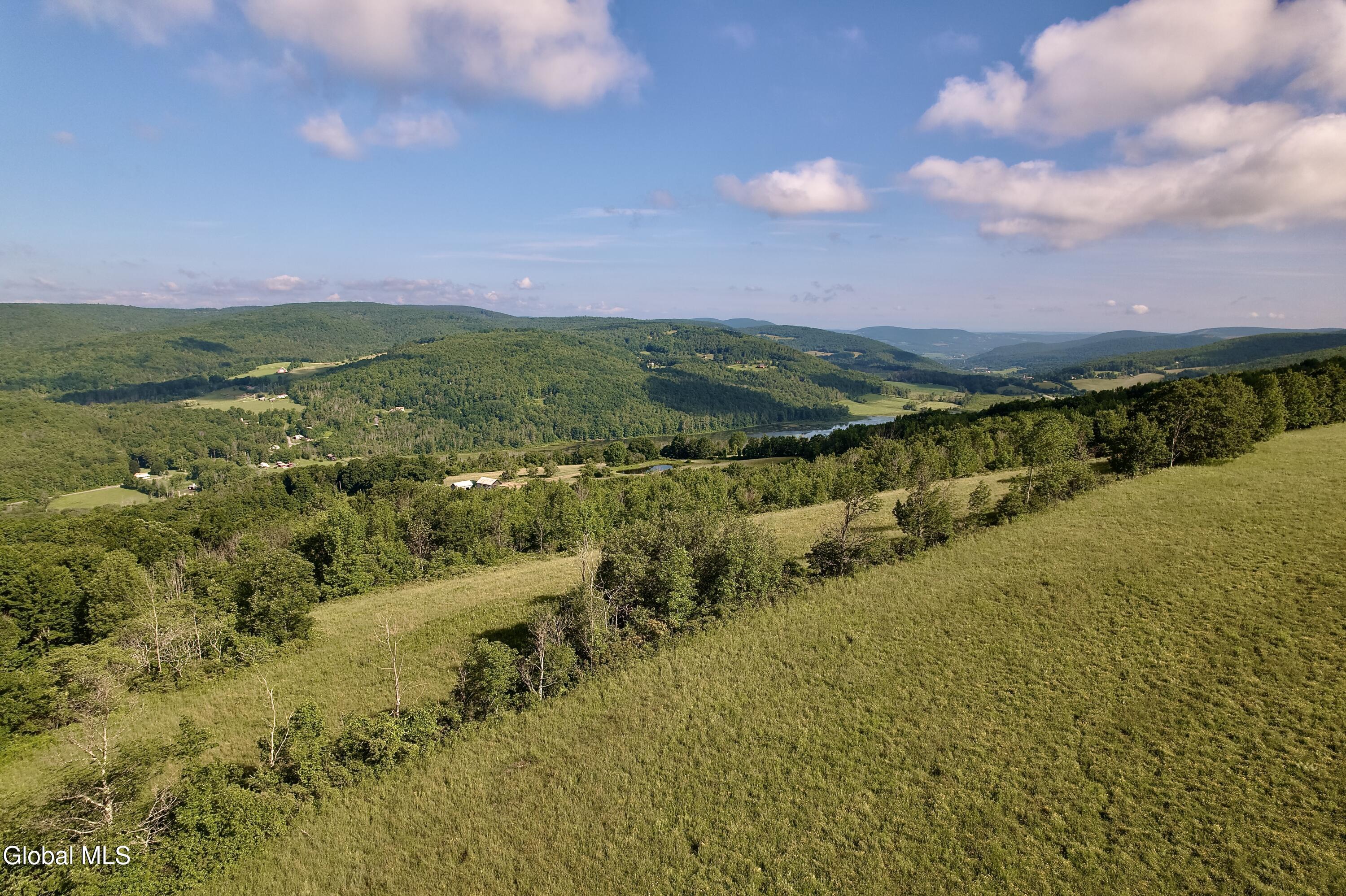 L-11 Earls Road Middleburgh, NY 12122 - Photo 3 of 15 F54DCB01-11AE-450D-B093-927B77B13539-DJI