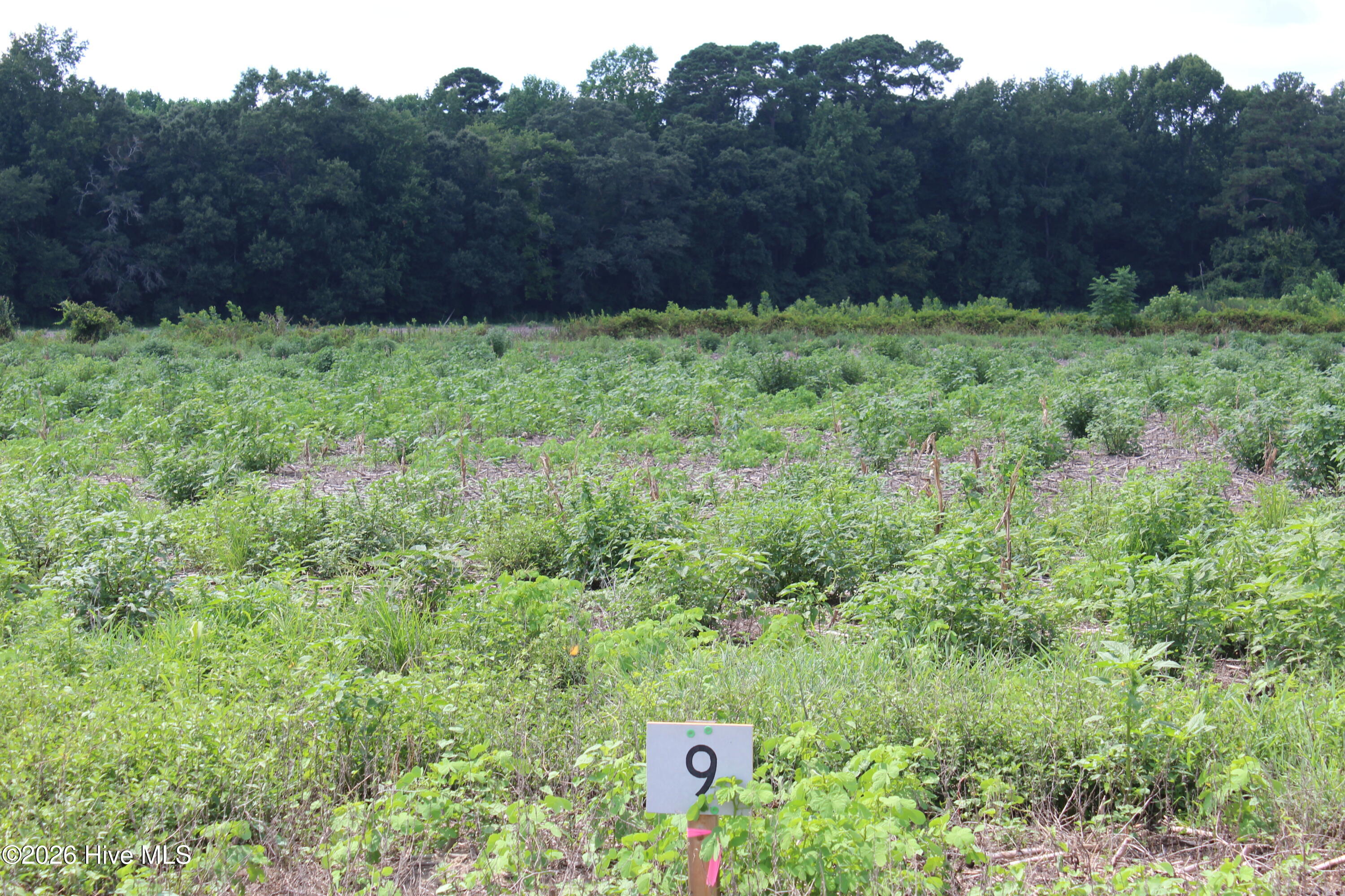 876 Whaley Road Kinston, NC 28501 - Photo 1 of 1 IMG_5035