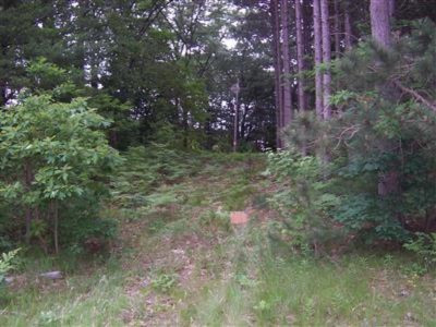Dalson Road Twin Lake, MI 49457 - Photo 2 of 4 Additional Photo