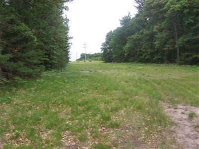 Dalson Road Twin Lake, MI 49457 - Photo 3 of 4 Additional Photo