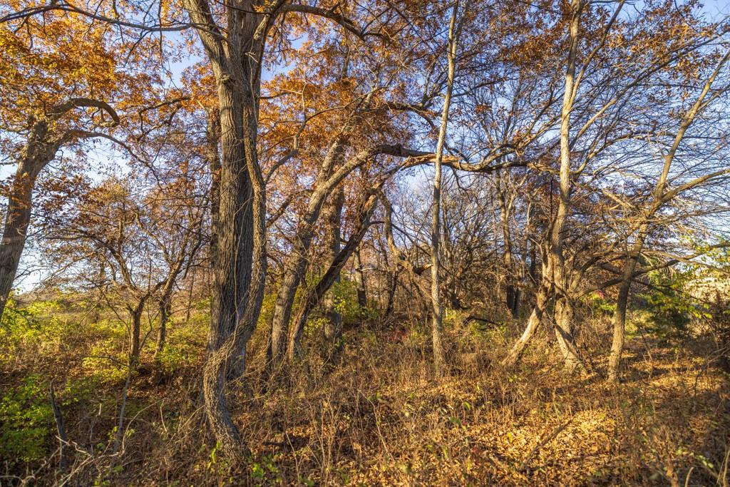 10 West Ryan Road Grain Valley, MO 64029 - Photo 15 of 21
