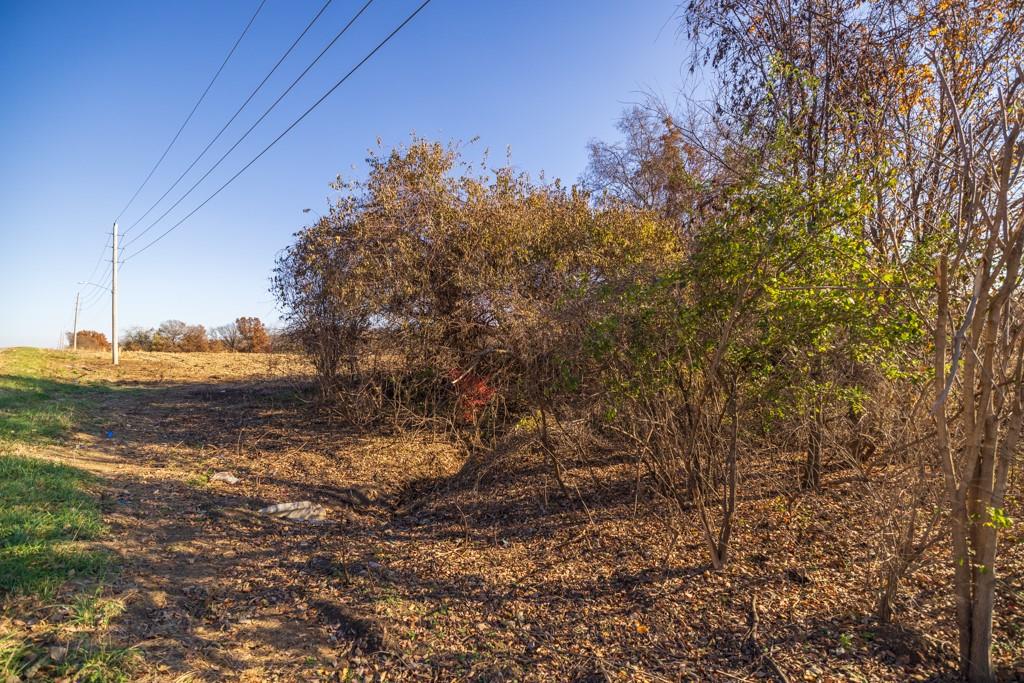 10 West Ryan Road Grain Valley, MO 64029 - Photo 10 of 21