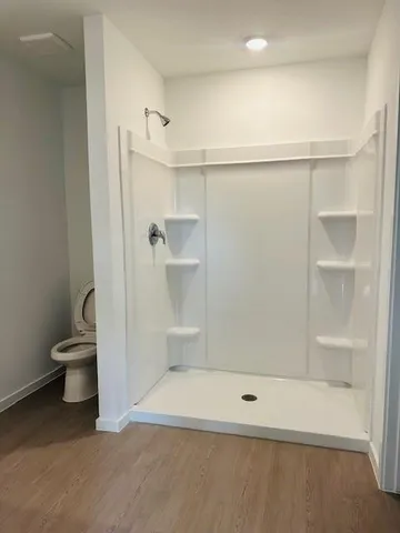 a bathroom with a shower and toilet