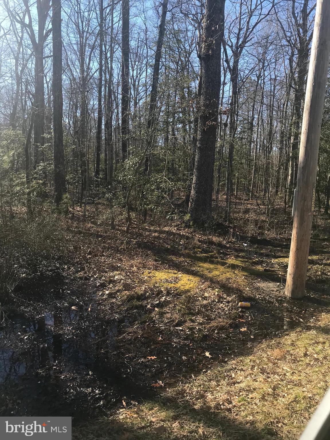 21985 Colton Point Road Bushwood, MD 20618 - Photo 2 of 2 Gallery Image 2