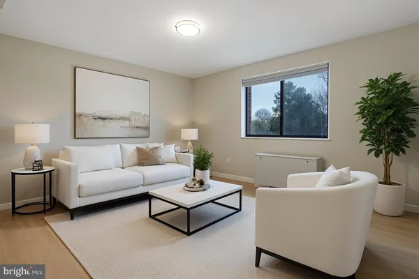 a living room with furniture and a potted plant