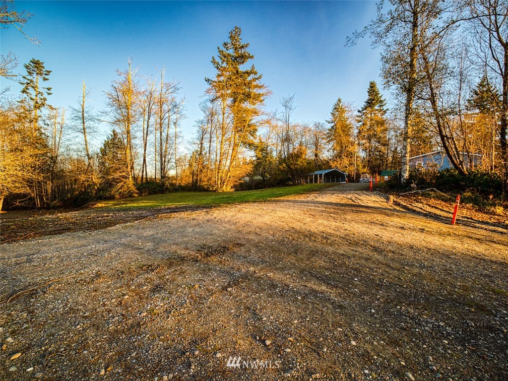 45 Remmen Road Elma, WA 98541 - Photo 4 of 20 Gallery Image 4