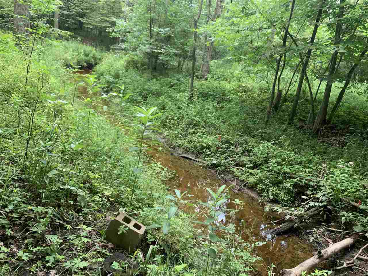 1222 Secord Dam Road Gladwin, MI 48624 - Photo 49 of 54
