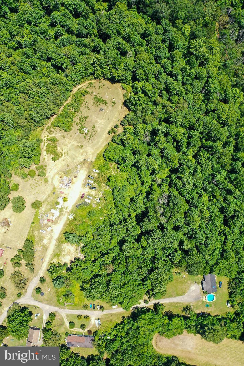 6255 Butler Road St. Leonard, MD 20685 - Photo 13 of 15 a view of a yard