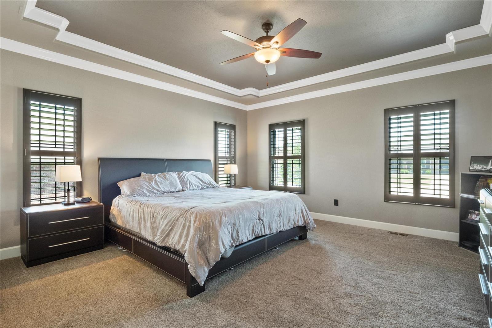 1509 Shadow Ridge Columbia, IL 62236 - Photo 23 of 60 Gallery Image 23