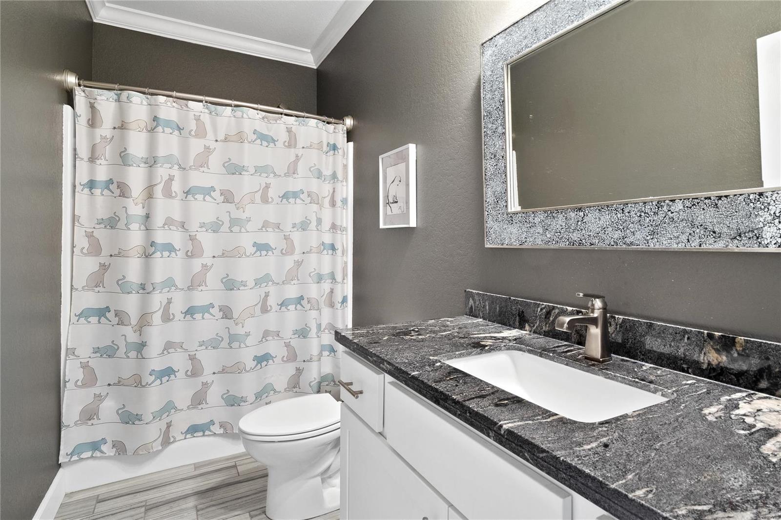 1509 Shadow Ridge Columbia, IL 62236 - Photo 32 of 60 Gallery Image 32