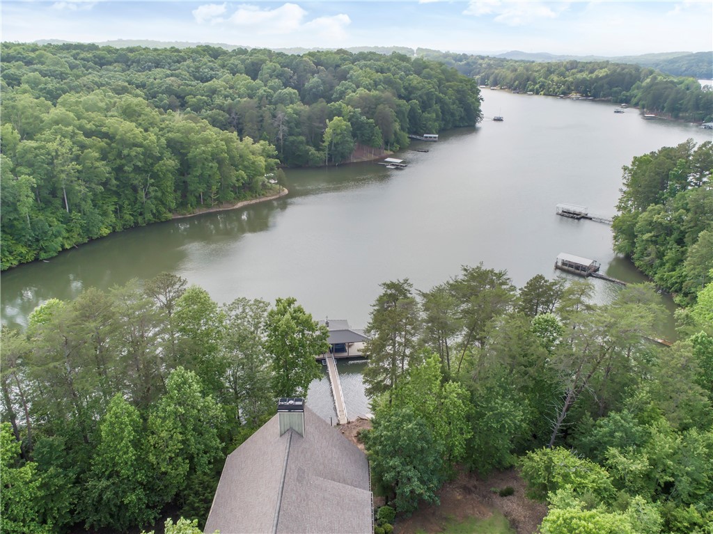 141 Rivershores Road Westminster, SC 29693 - Photo 6 of 50 Gallery Image 6