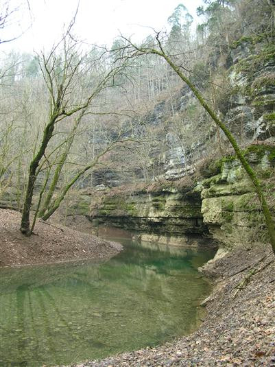 9707 Camp Daniel Boone Road Lexington, KY 40515 - Photo 29 of 37 Photo 30