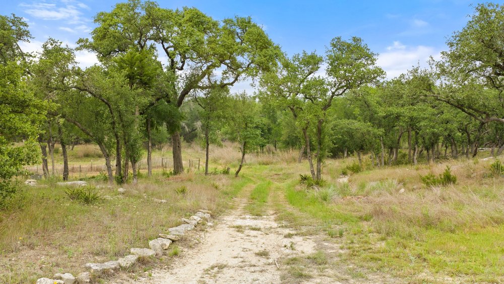 1850 Pursley Road Dripping Springs, TX 78620 - Photo 17 of 32
