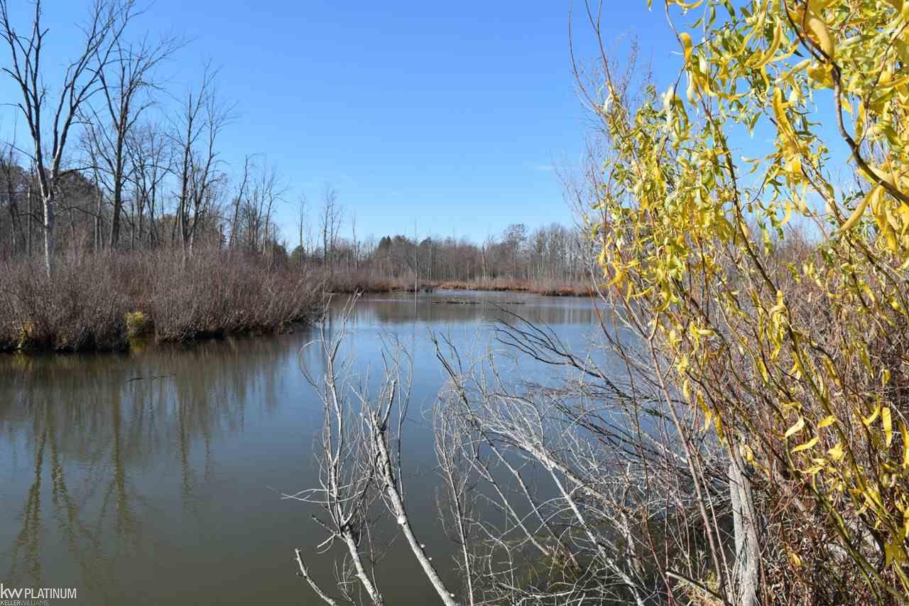 4179 Kilgore Road Avoca, MI 48006 - Photo 31 of 51