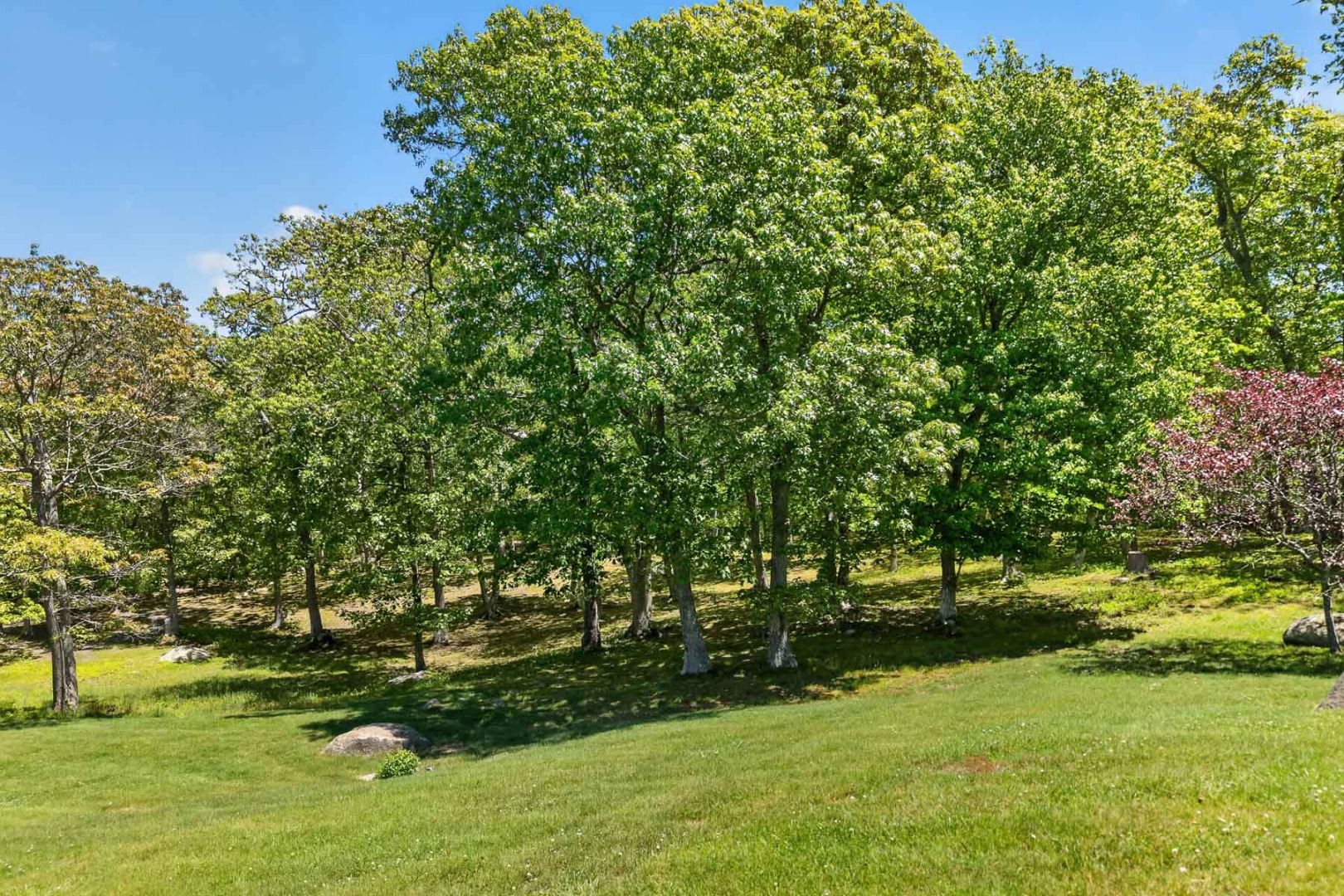 300 N Road Chilmark, MA 02535 - Photo 30 of 32