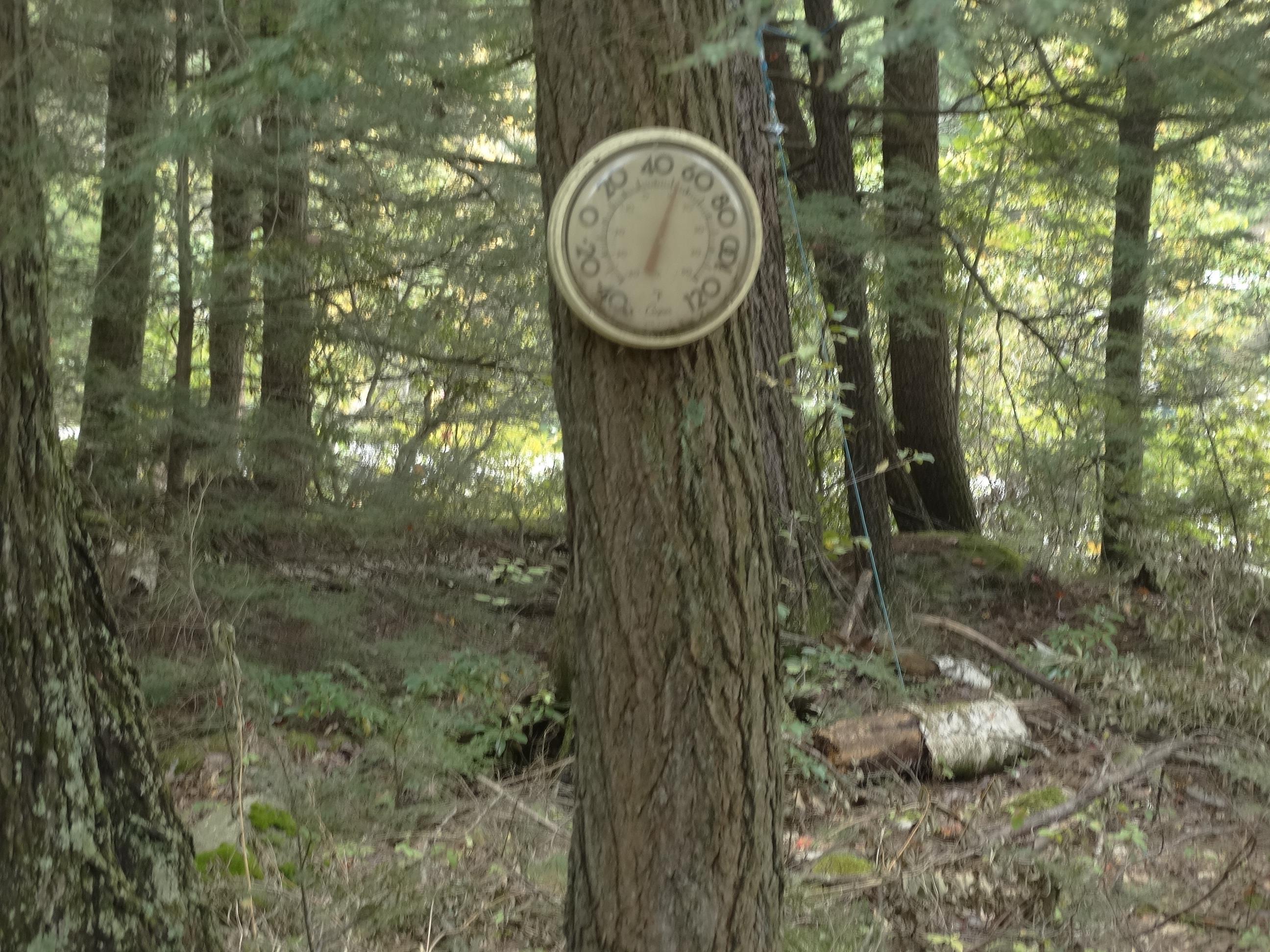 511 East Lake Road Fitzwilliam, NH 03447 - Photo 34 of 36