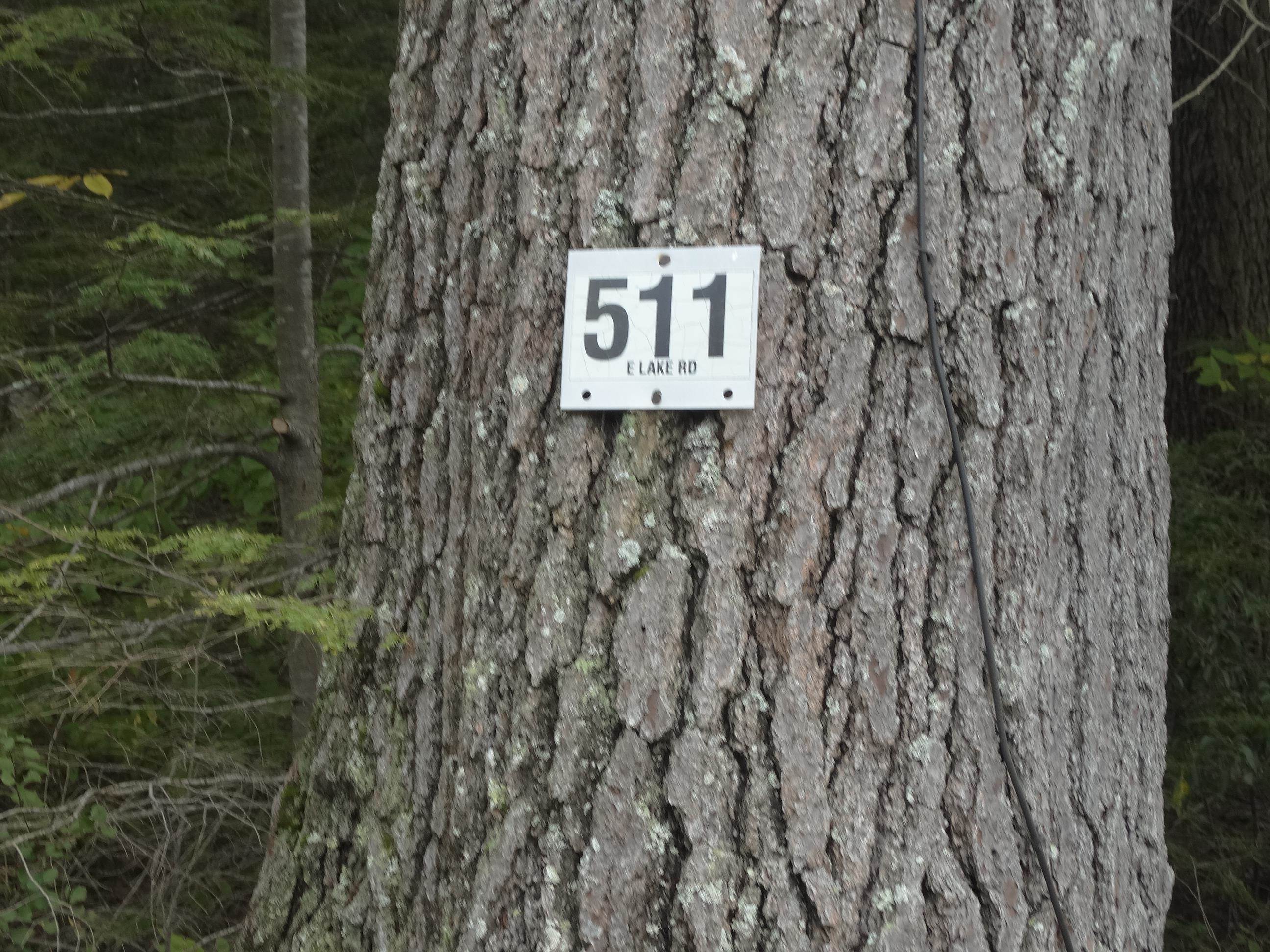 511 East Lake Road Fitzwilliam, NH 03447 - Photo 36 of 36