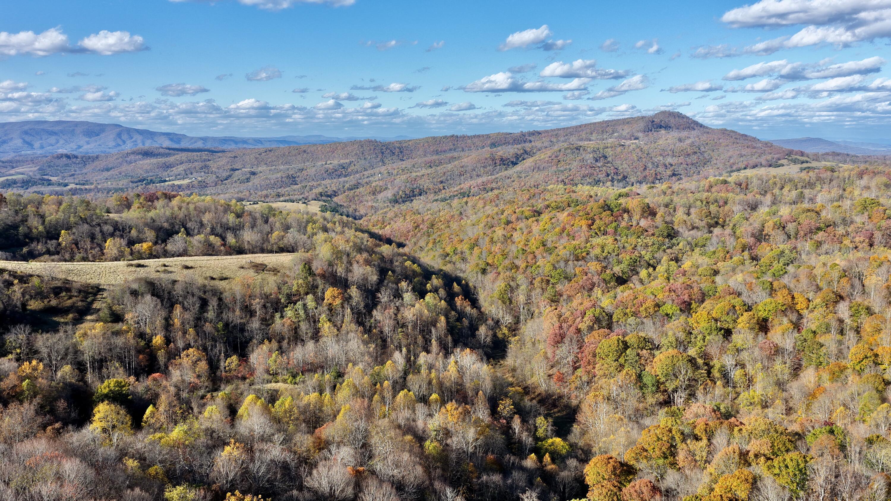 3025 Broad Run Road Union, WV 24983 - Photo 30 of 32 DJI_20251022161543_0023_D