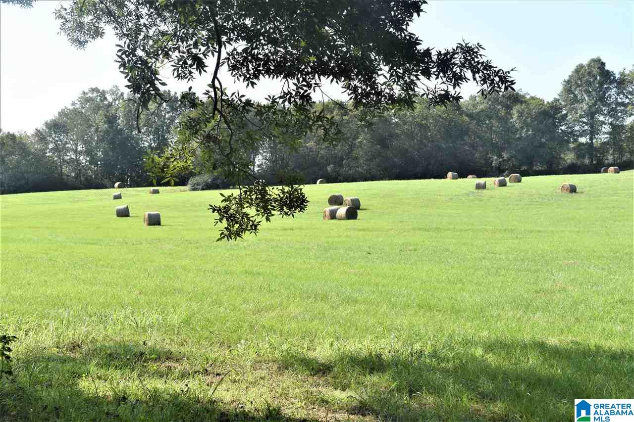 3086 McElderry Road North Munford, AL 36268 - Photo 40 of 44