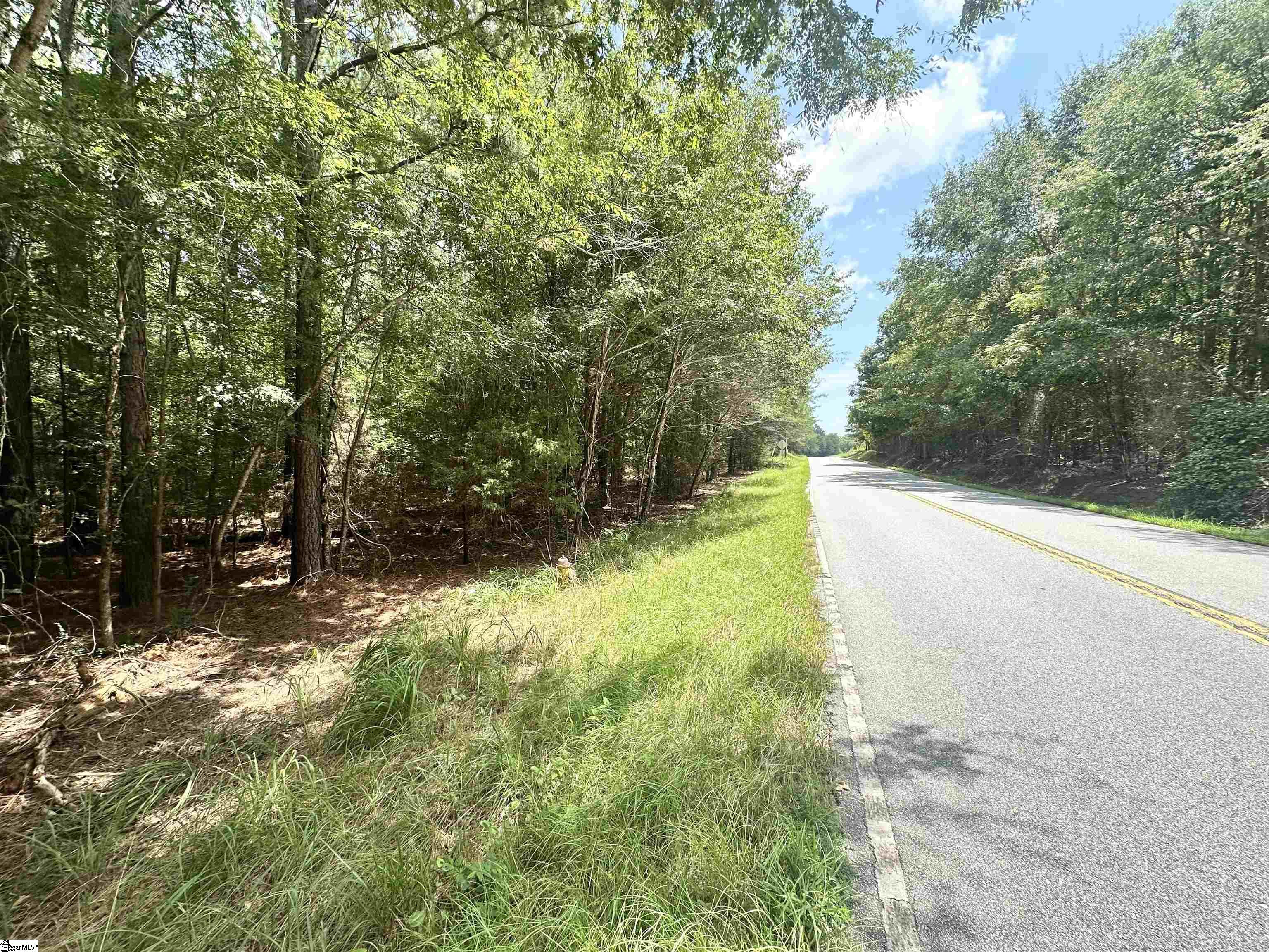 0 Metric Road Gray Court, SC 29645 - Photo 3 of 14 Gallery Image 3