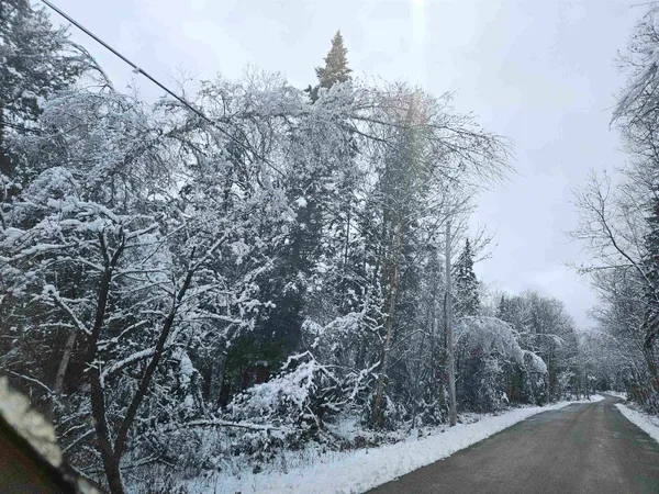 $129,900 | Lot 15 Hadley Road, Sugar Hill, NH 03586