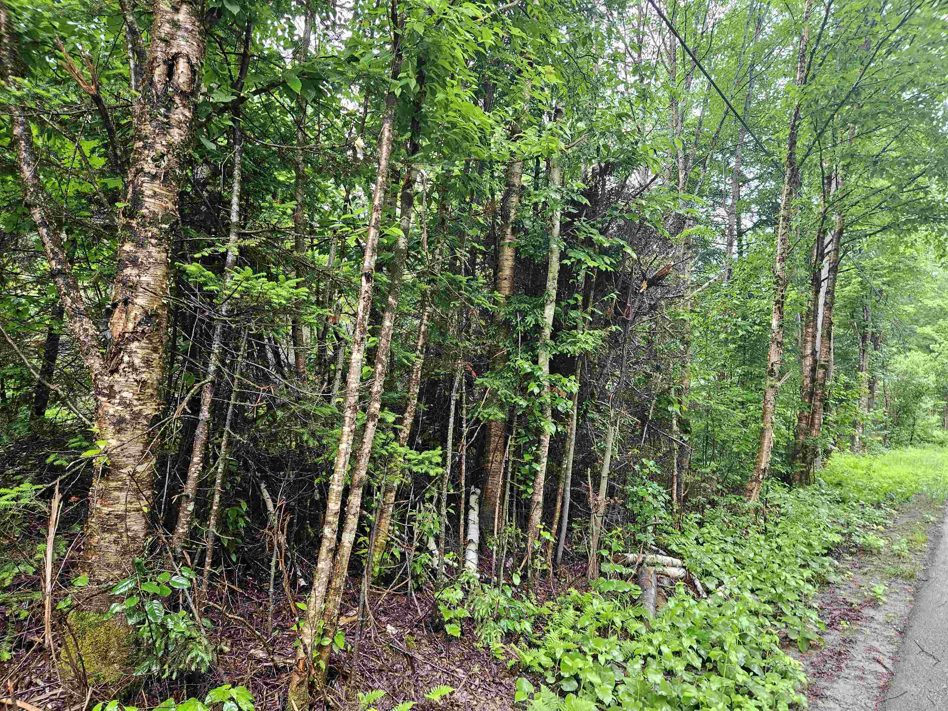 Lot 15 Hadley Road Sugar Hill, NH 03586 - Photo 14 of 22