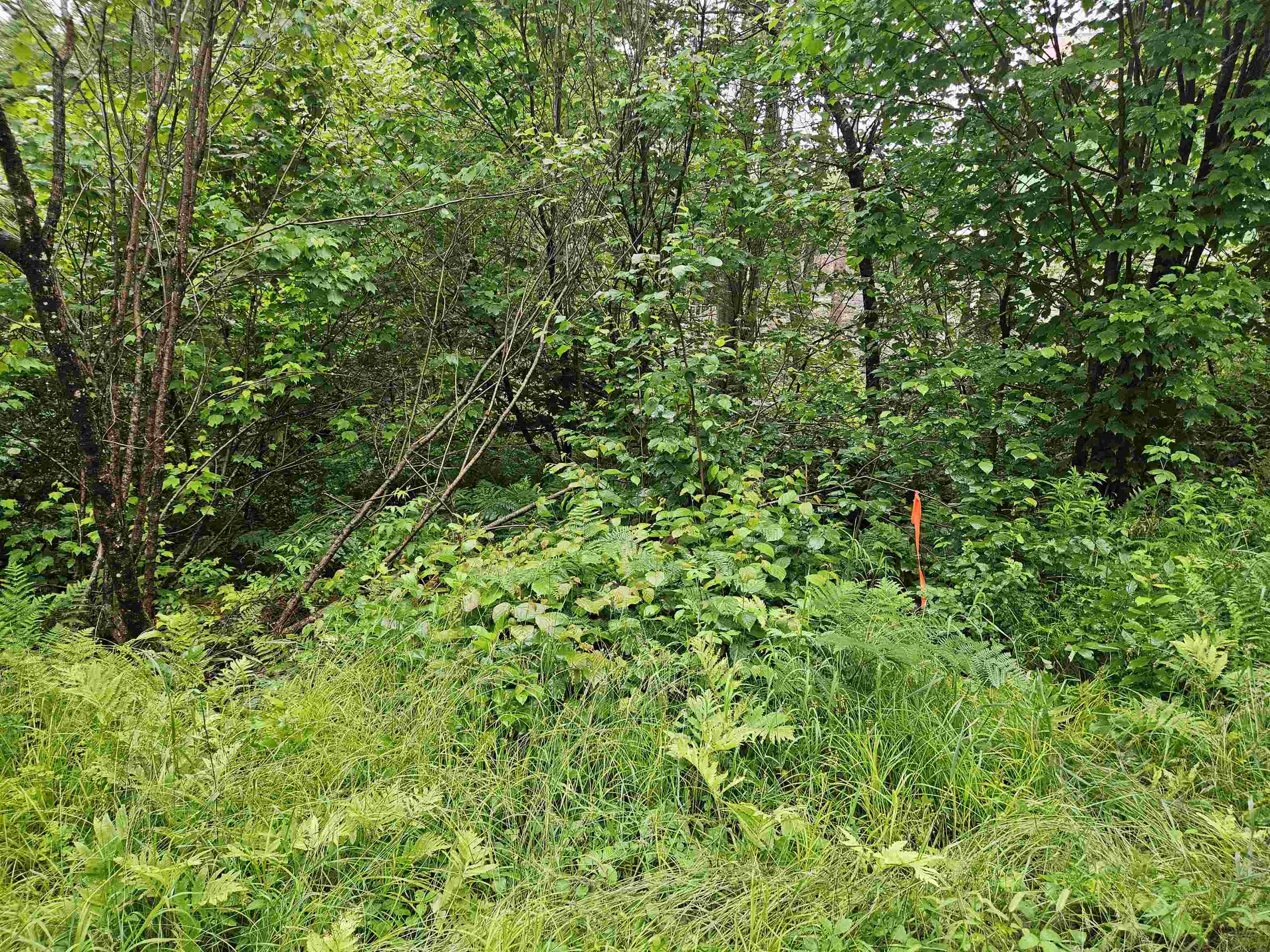 Lot 15 Hadley Road Sugar Hill, NH 03586 - Photo 16 of 29