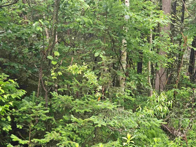 $129,900 | Lot 15 Hadley Road, Sugar Hill, NH 03586