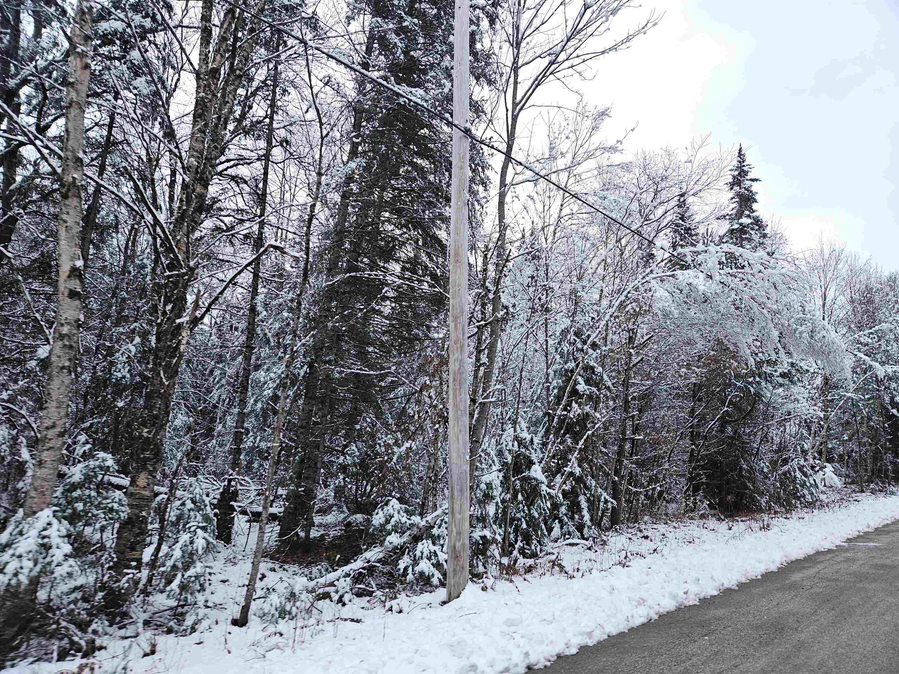 Lot 15 Hadley Road Sugar Hill, NH 03586 - Photo 19 of 29