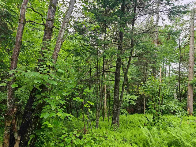 $129,900 | Lot 15 Hadley Road, Sugar Hill, NH 03586