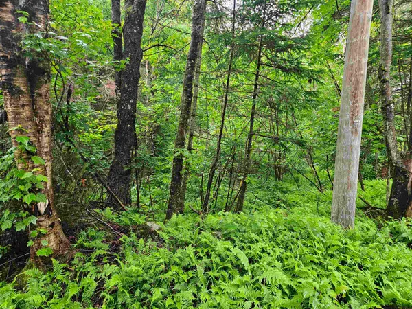 $129,900 | Lot 15 Hadley Road, Sugar Hill, NH 03586