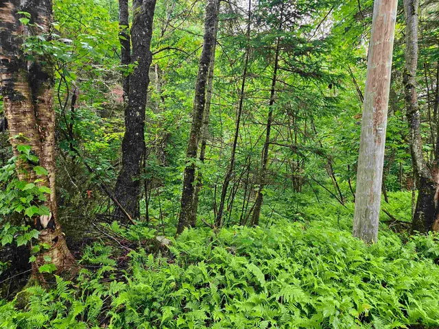 $129,900 | Lot 15 Hadley Road, Sugar Hill, NH 03586