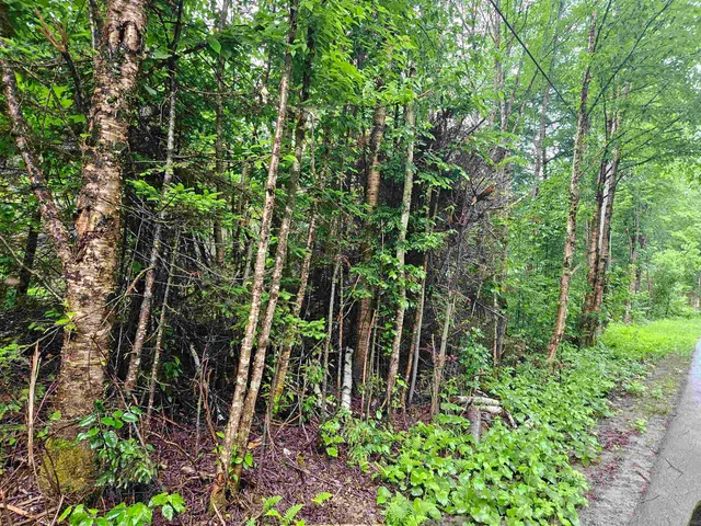 $129,900 | Lot 15 Hadley Road, Sugar Hill, NH 03586