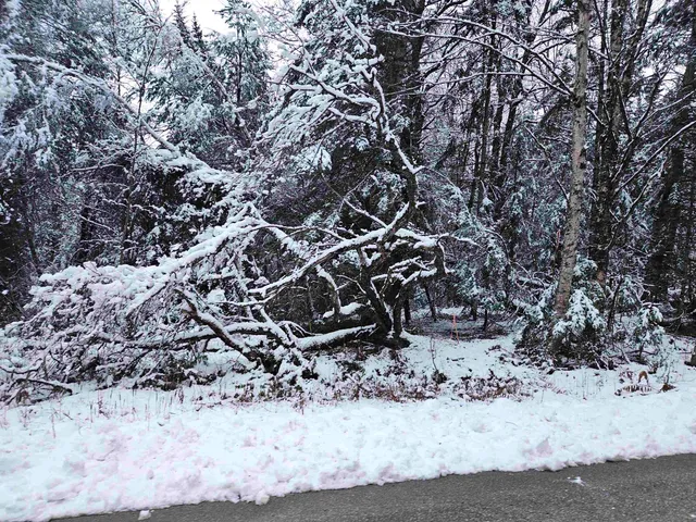 $129,900 | Lot 15 Hadley Road, Sugar Hill, NH 03586