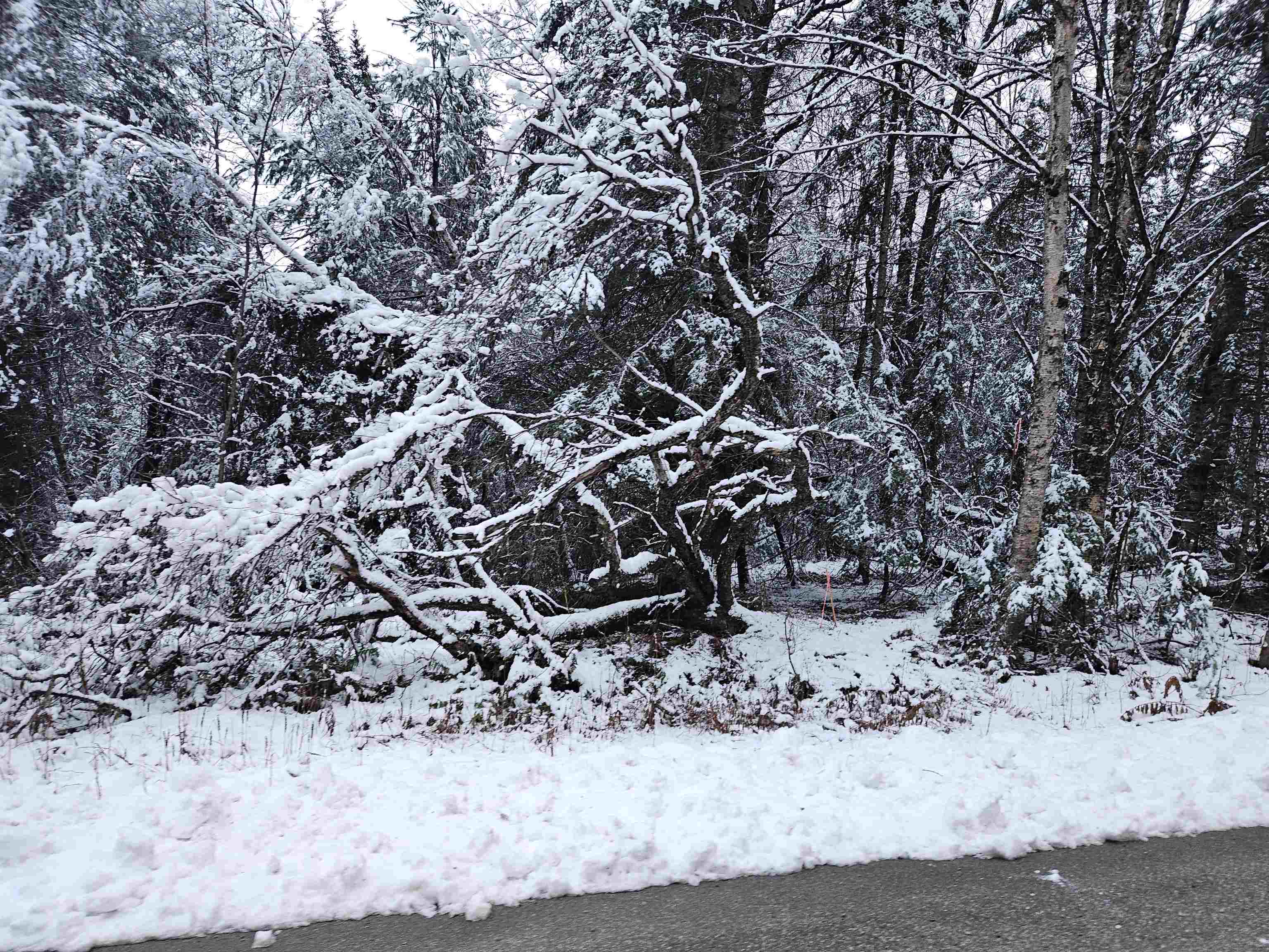 Lot 15 Hadley Road Sugar Hill, NH 03586 - Photo 2 of 29