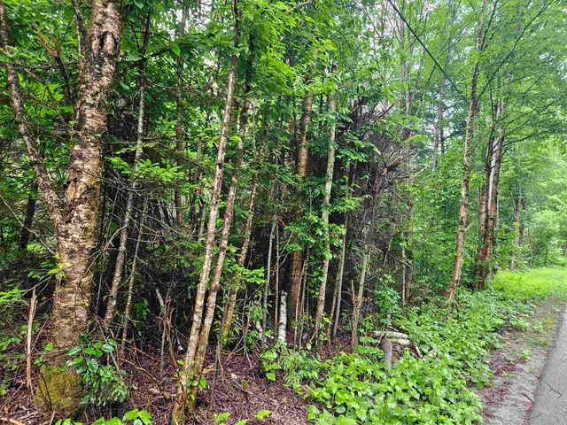 $129,900 | Lot 15 Hadley Road, Sugar Hill, NH 03586