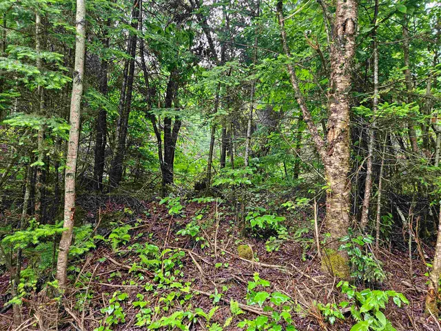 $129,900 | Lot 15 Hadley Road, Sugar Hill, NH 03586