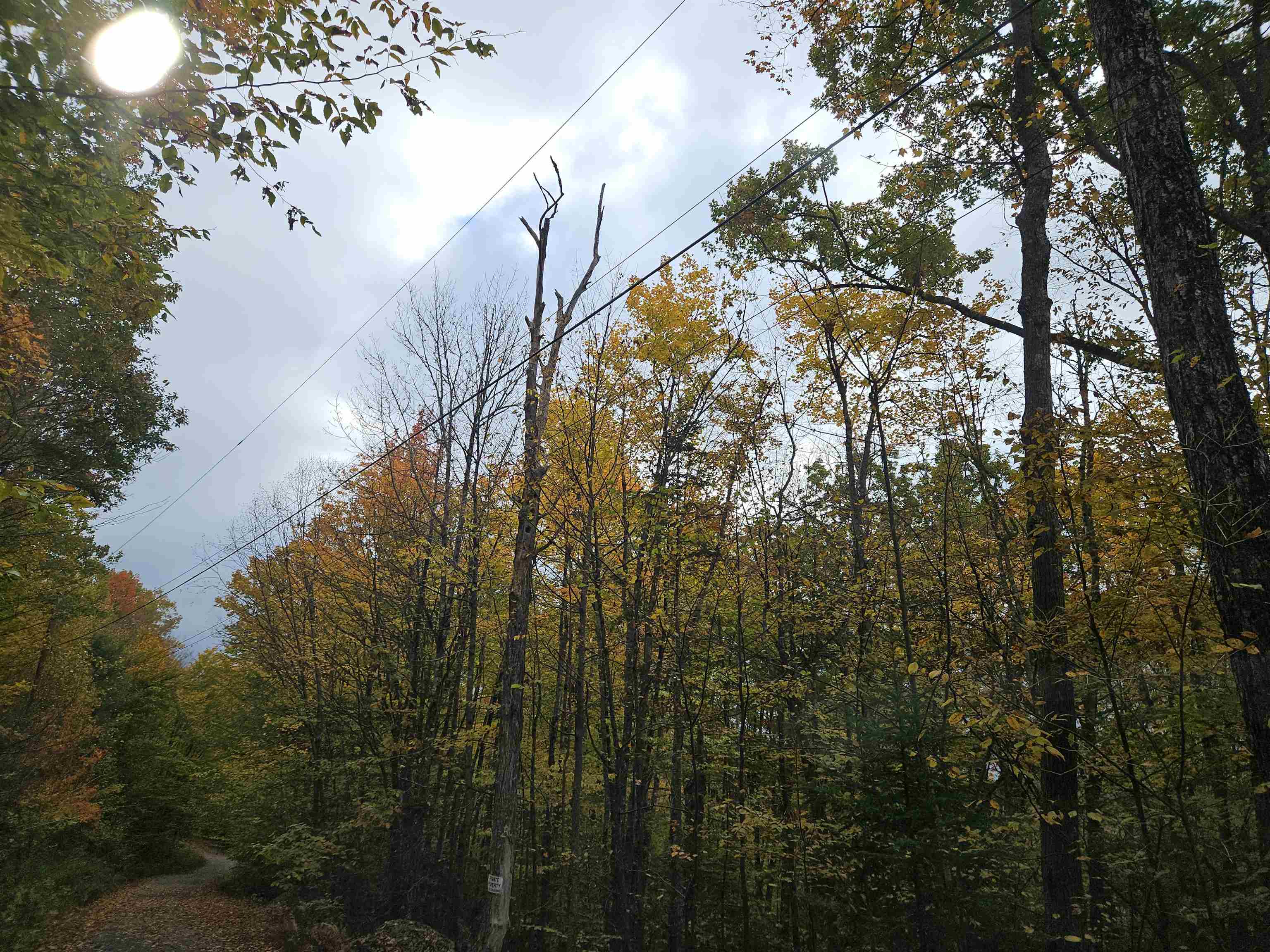 Lot 15 Hadley Road Sugar Hill, NH 03586 - Photo 24 of 29