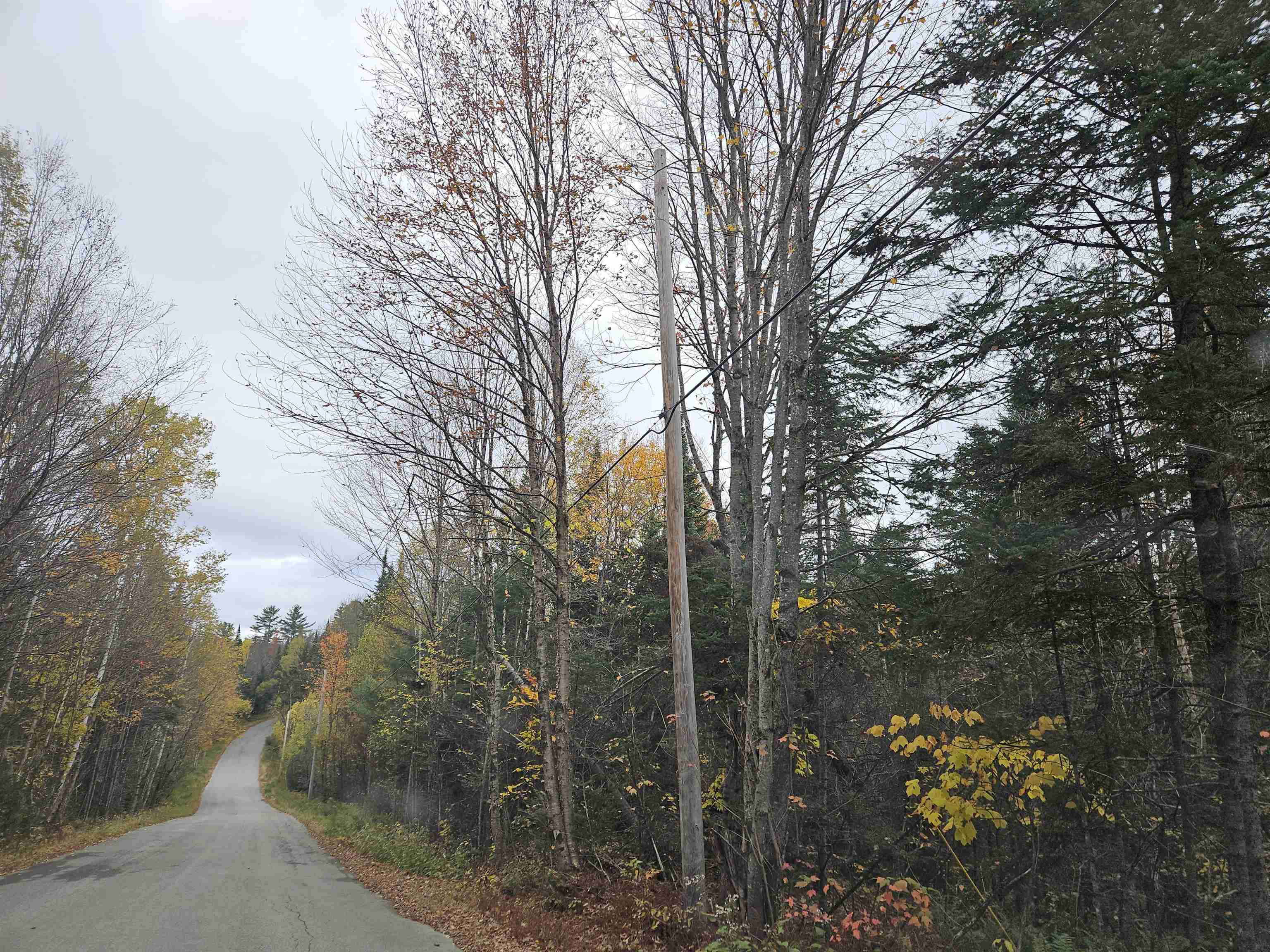 Lot 15 Hadley Road Sugar Hill, NH 03586 - Photo 25 of 29