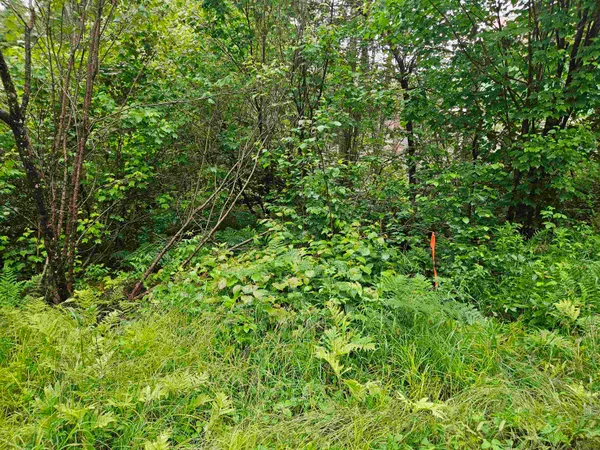 $129,900 | Lot 15 Hadley Road, Sugar Hill, NH 03586
